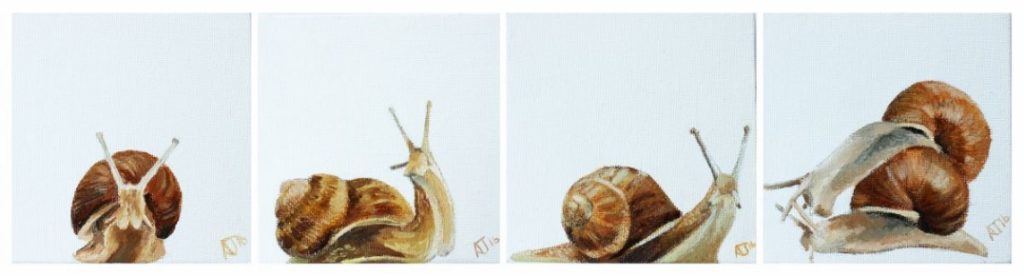 Alex Jabore-Snail across the Canvas Series
