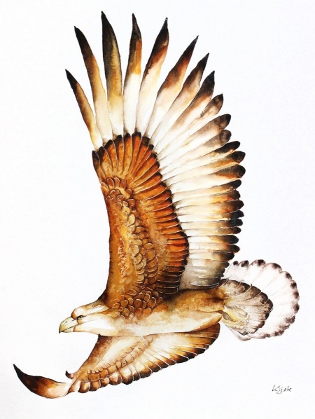Karolina Kijak - Flying Eagle