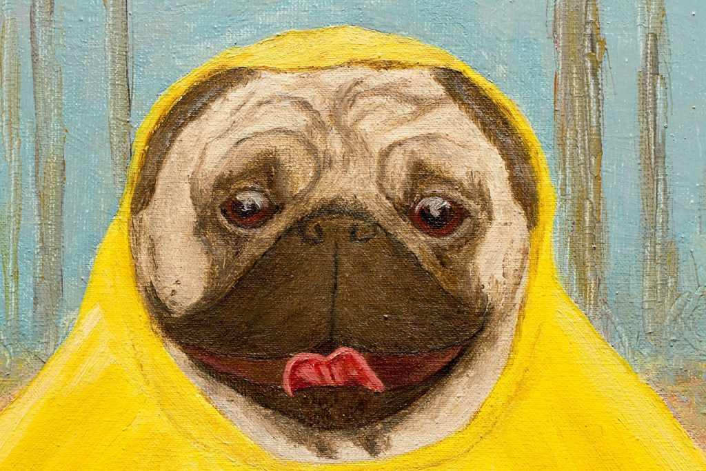 wet-but-happy-pug-portrait-detail-art-artwork-ustymenko