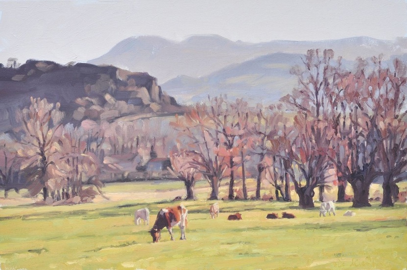 ANNE BAUDEQUIN - December 06, Saint Vincent, cows in the meadows