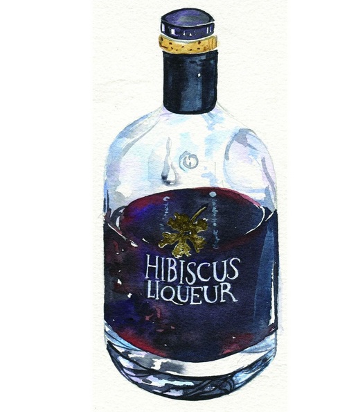 Hannah Clark - Original Watercolour Painting of Hibiscus Liqueur in a Bottle